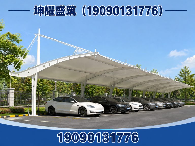轮台县新疆膜结构工程展示图